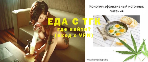 гашик Карпинск