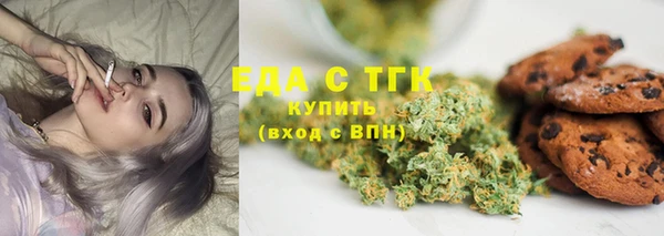 гашик Карпинск