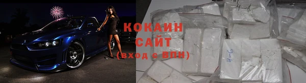 гашик Карпинск