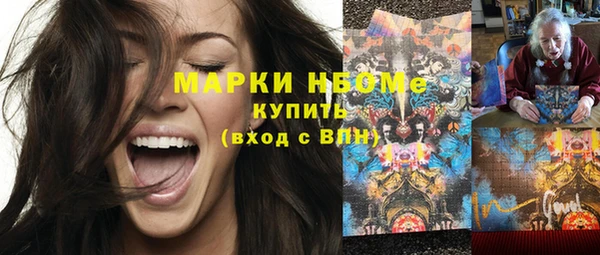 гашик Карпинск