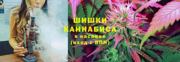 гашик Карпинск