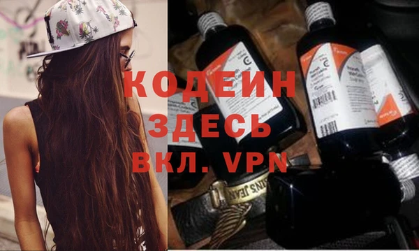 гашик Карпинск