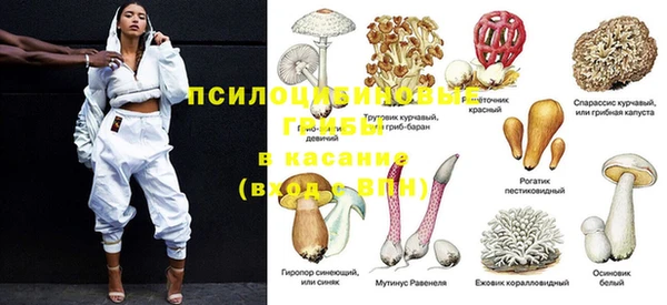 синтетический гашиш Касимов