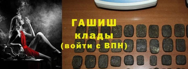 гашик Карпинск