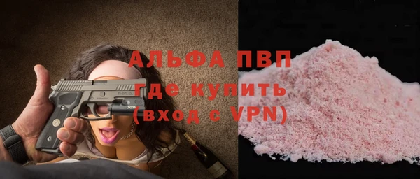 гашик Карпинск