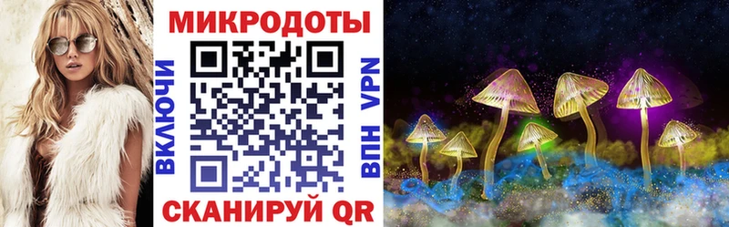 Галлюциногенные грибы GOLDEN TEACHER  Купить  Кировград 